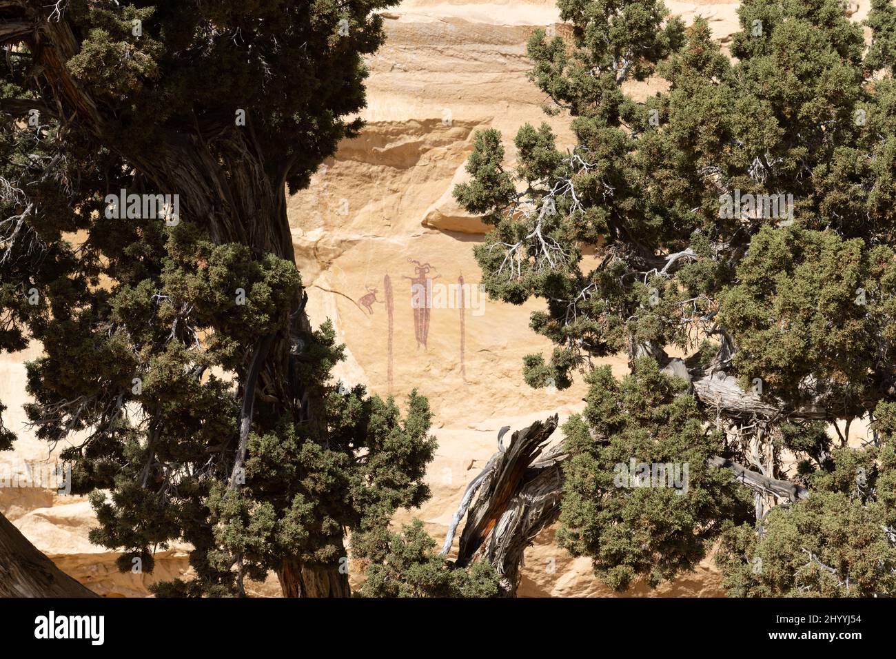 Ce panneau d'art rupestre de style Barrier Canyon se trouve dans la région de San Rafael Swell dans l'Utah, connue sous le nom de Head of Sinbad. Ces pictogrammes étaient pai Banque D'Images
