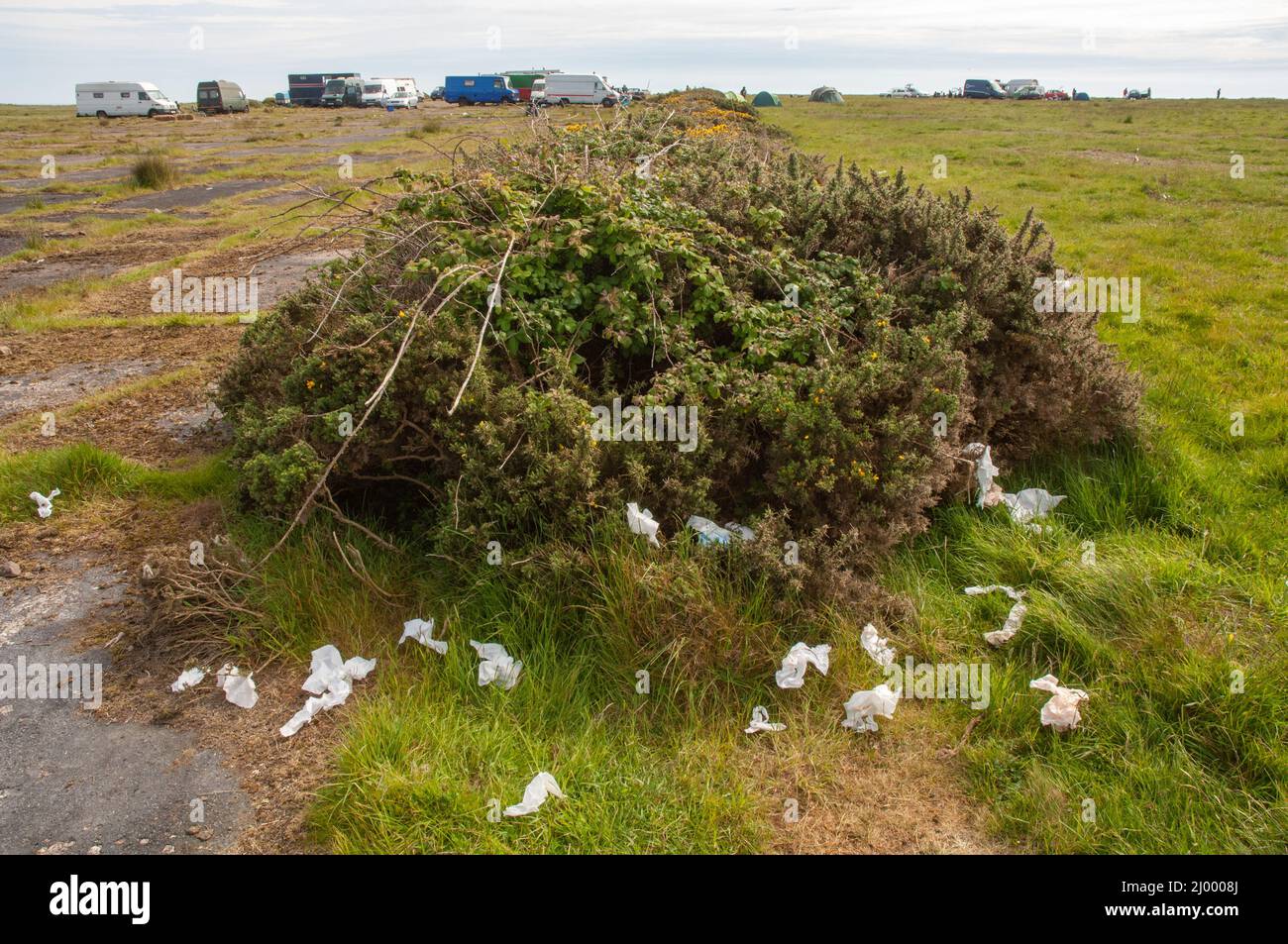 Papier toilette jeté, rave illégale, Dale Airfield, mai 2010, Pembrokeshire, Pays de Galles, Royaume-Uni, Europe Banque D'Images
