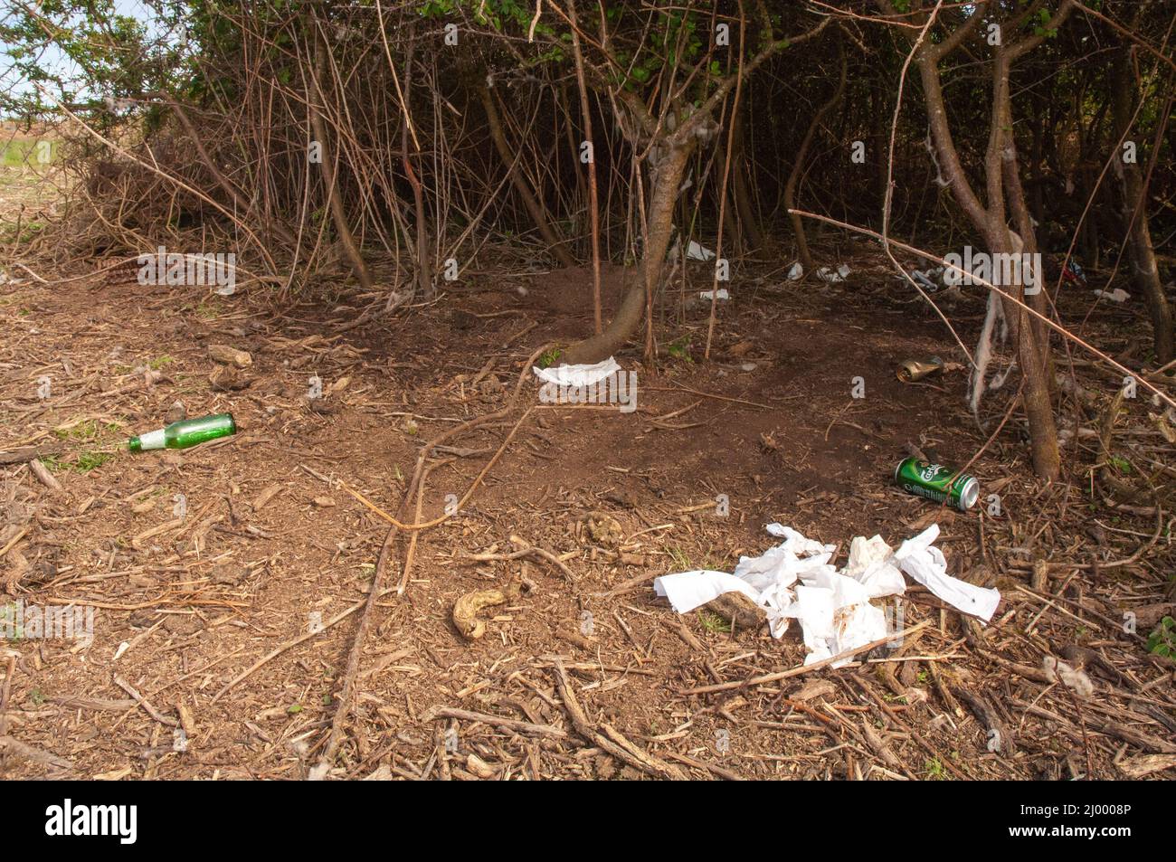 Papier toilette jeté, rave illégale, Dale Airfield, mai 2010, Pembrokeshire, Pays de Galles, Royaume-Uni, Europe Banque D'Images