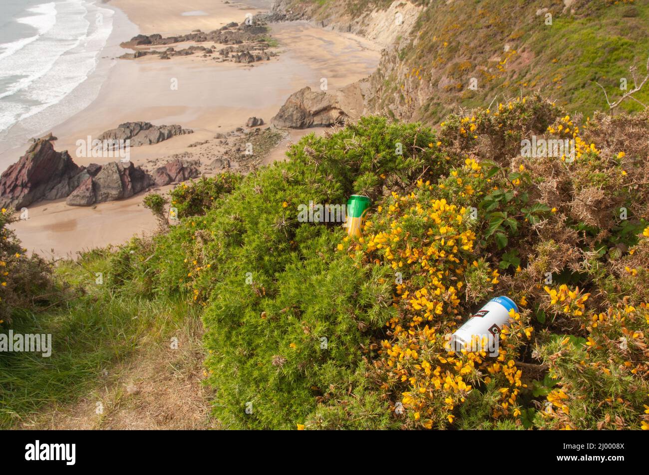 Canettes de bière déversées dans des gorges au-dessus de Marloes Sands, Rave illégal, Dale Airfield, mai 2010, Pembrokeshire, Pays de Galles, Royaume-Uni, Europe Banque D'Images