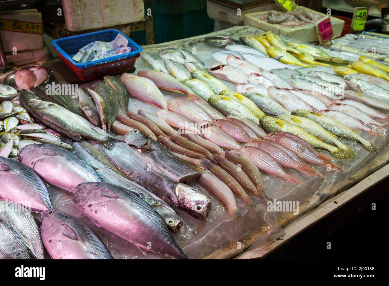 Différents types de poissons vendus sur un marché humide à Hong Kong, en Chine. Banque D'Images