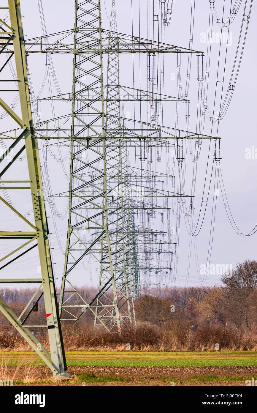 Une série de pylônes à haute tension dans une rangée montre le contraste entre la nature et la technologie Banque D'Images