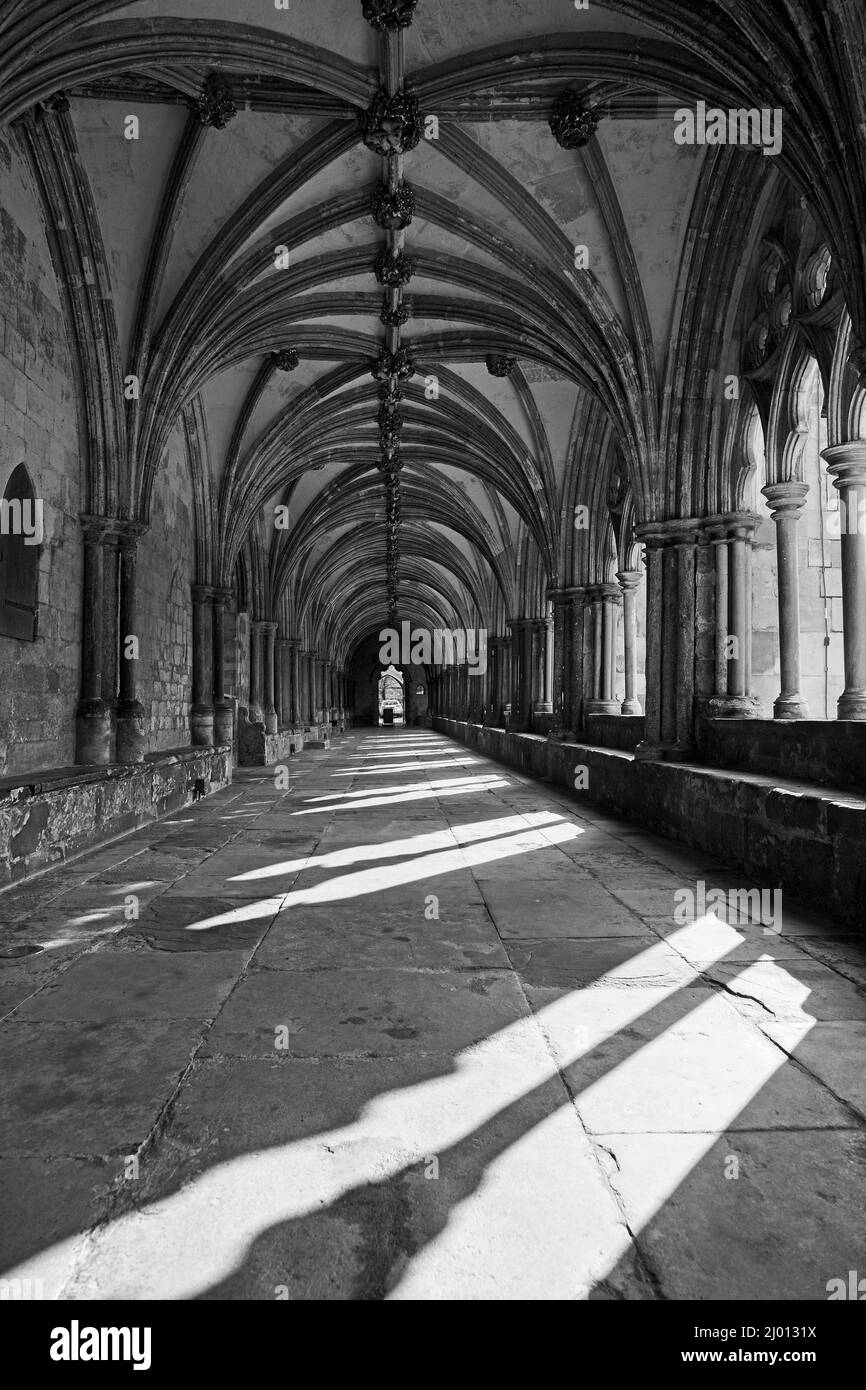 Royaume-Uni, Norfolk - Cathédrale de Norwich Banque D'Images