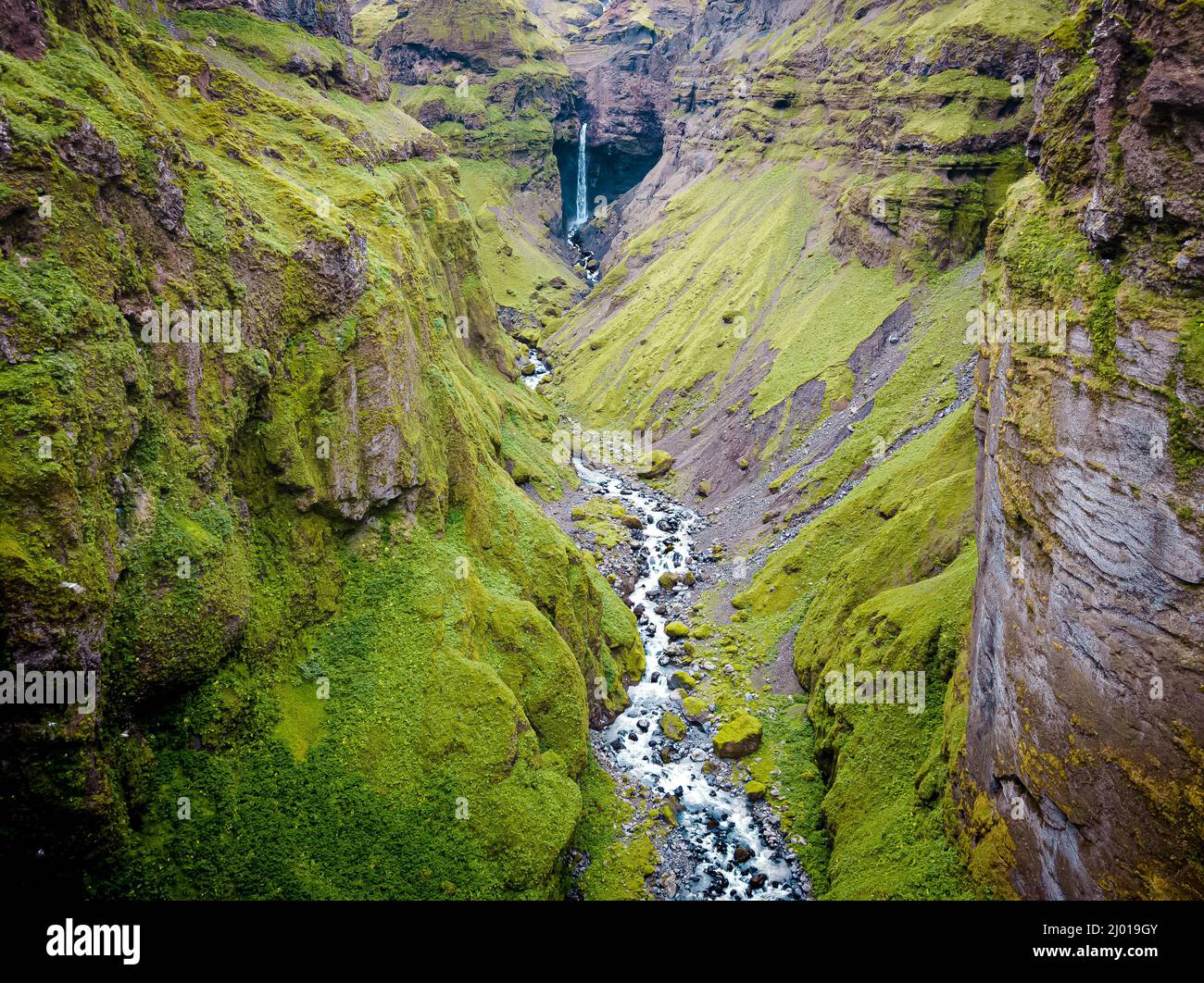 Fjaðrárgljúfur canyon en Islande Banque D'Images