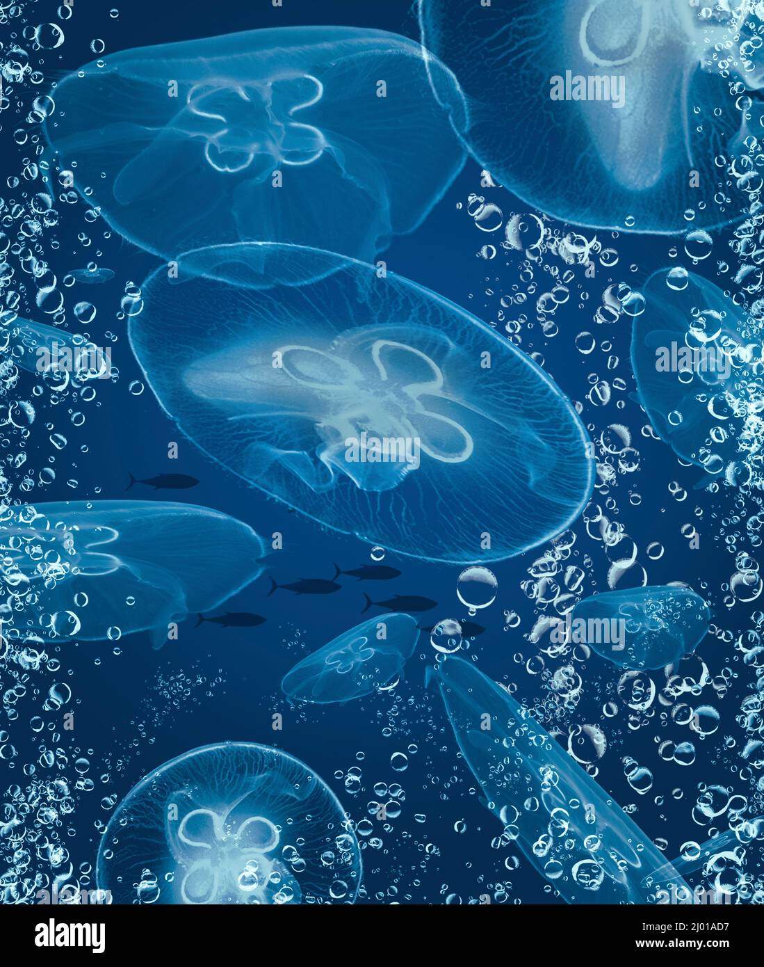 Une école de thon et un groupe de méduses lunaires sont vus dans cette illustration sous-marine de 3 jours. Banque D'Images