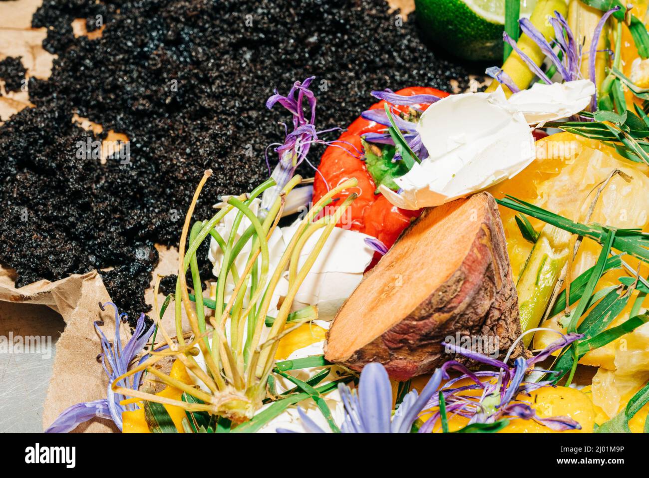 Gros plan de fruits, légumes, Marc de café et morceaux d'aubergines qui seront utilisés pour le compostage Banque D'Images