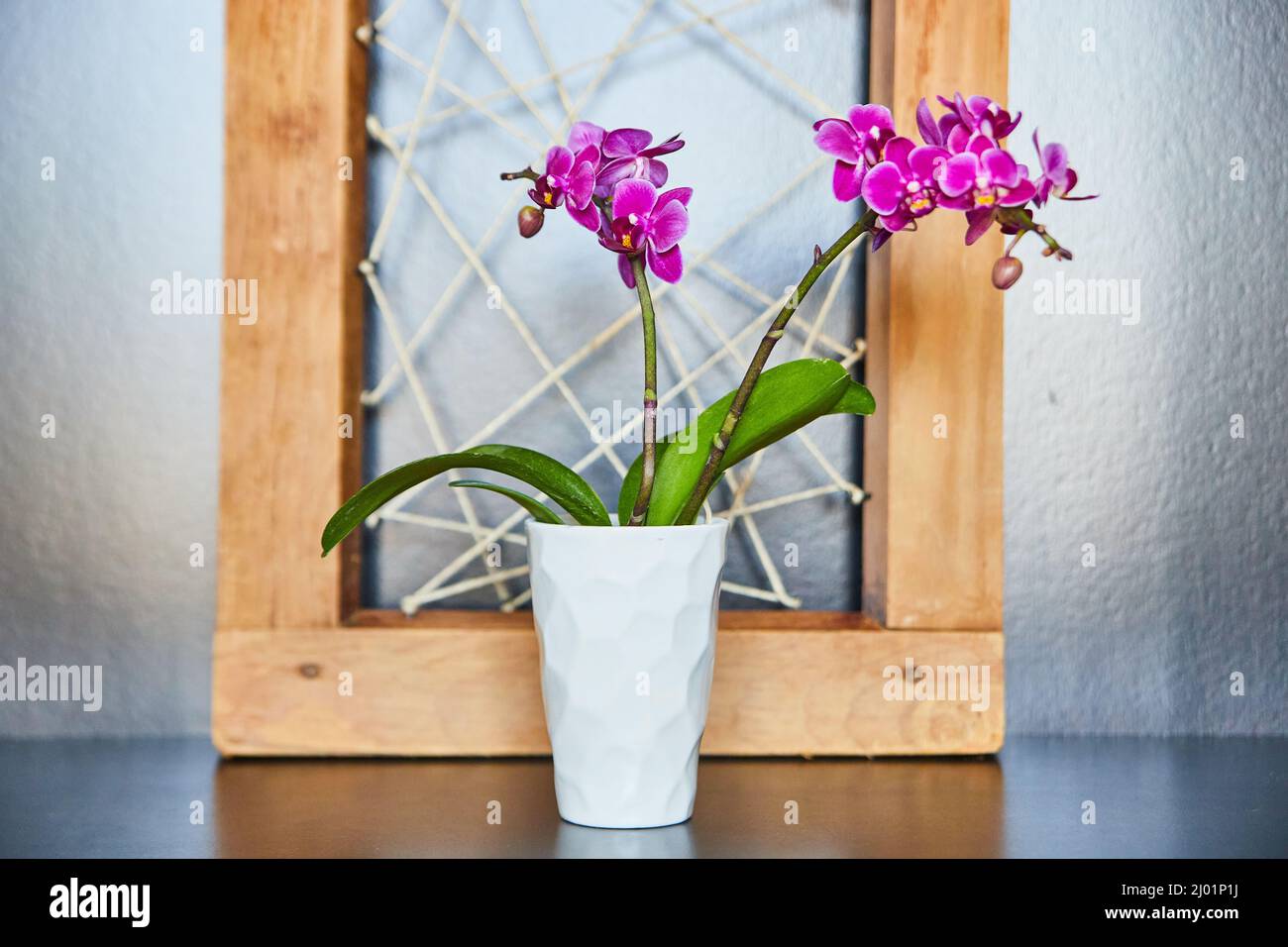 Orchidées roses dans un vase blanc avec bois et ficelle d'art Banque D'Images