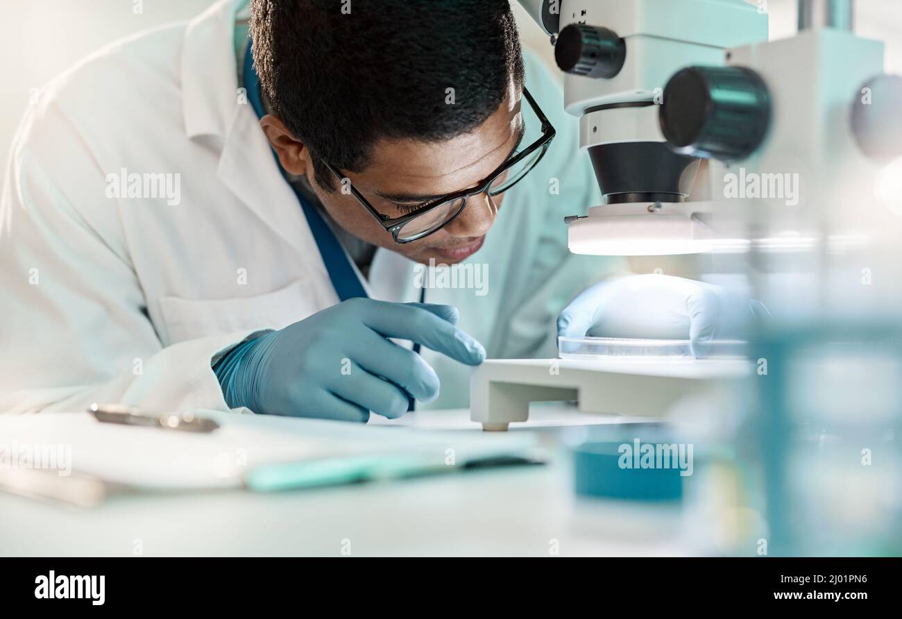 La connaissance scientifique nous permet de progresser dans le monde. Prise de vue d'un jeune scientifique utilisant un microscope dans un laboratoire. Banque D'Images