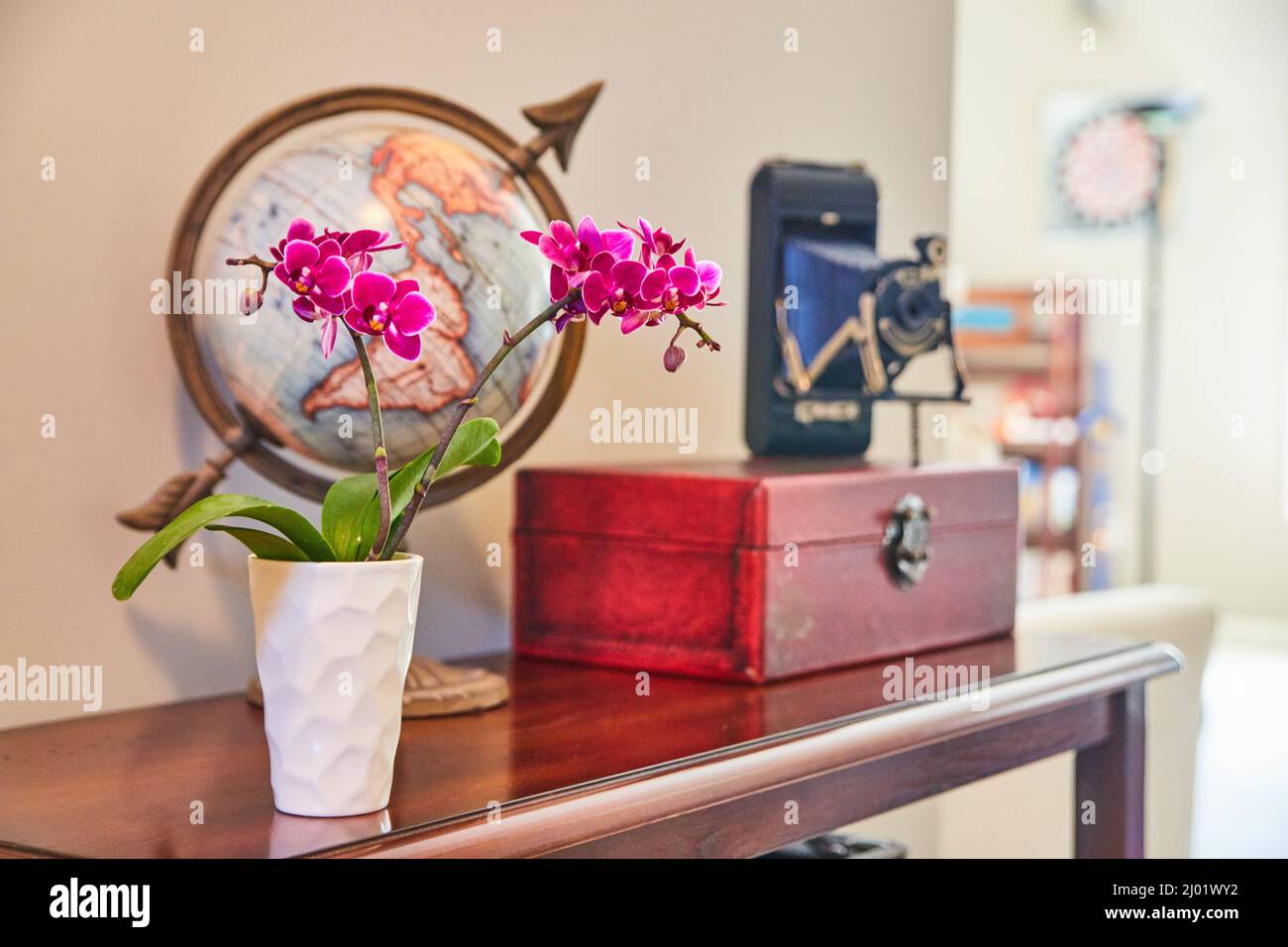 Table de décoration avec orchidées roses, globe et appareil photo Banque D'Images
