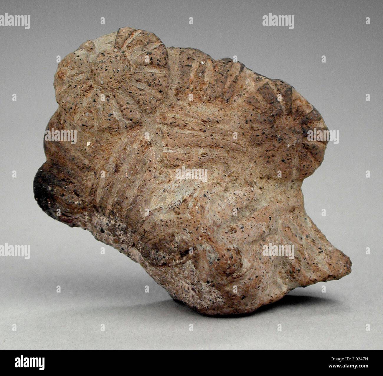 Chef d'une Déesse. Afghanistan, 1st siècle avant J.-C.. Sculpture. Terre cuite Banque D'Images