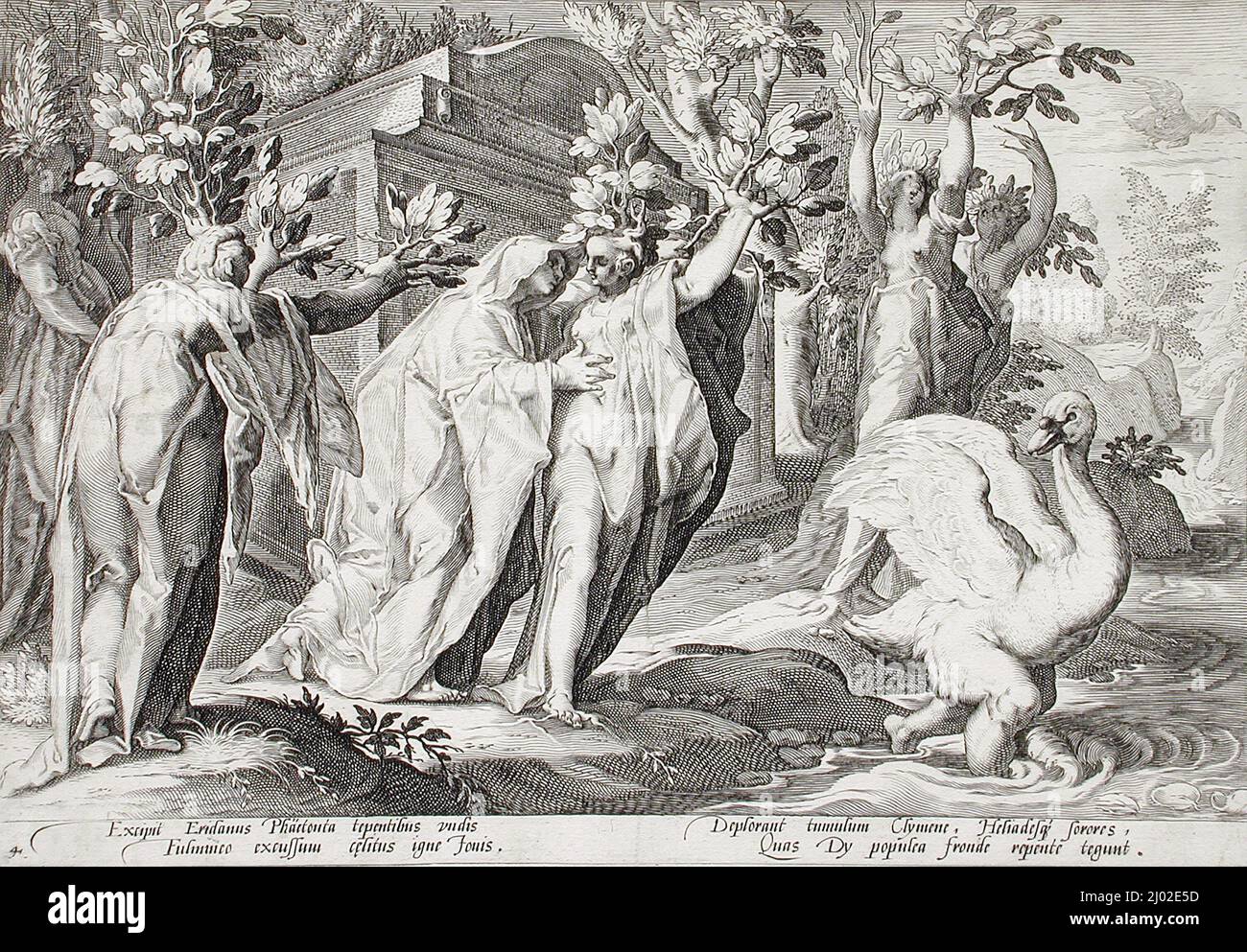 Les Sœurs de Phaeton se sont changées en Poplars, et Cygnus en cygne. Hendrik Goltzius (après) (pays-Bas, Mülbracht, 1558-1617)Hendrik Goltzius (pays-Bas, Mülbracht [aujourd'hui Bracht-am-Niederrhein], 1558-1617). Holland, publié en 1590. Gravures; gravures. Gravure Banque D'Images