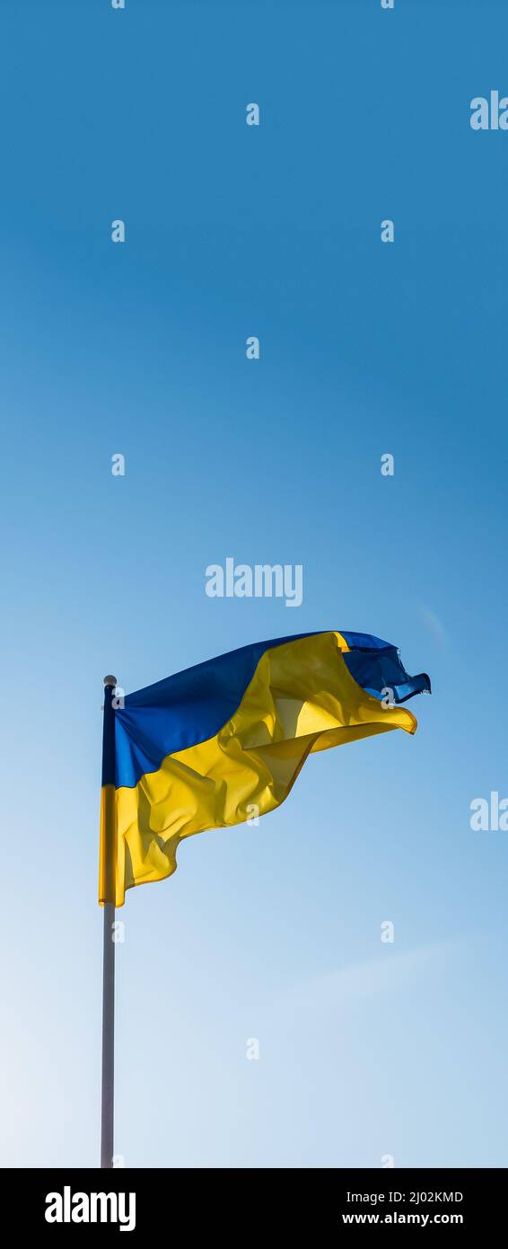 Bannière verticale drapeau ukrainien, espace de copie vide. Drapeau de l'Ukraine sur fond bleu ciel. Symbole national de liberté et d'indépendance. 'Lava Ukraini! Banque D'Images