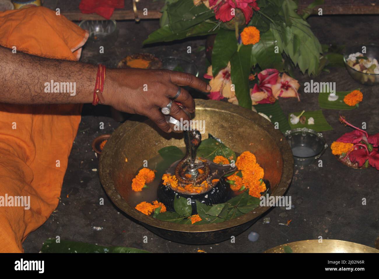 Des dévotés hindous offrant du lait et de l'eau à Shiv Lingam à l'occasion d'Abhishekam en Inde . Offrant des feuilles de fleur et de bael au Seigneur shiva, Inde Banque D'Images