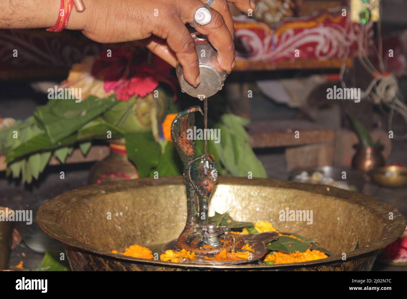 Des dévotés hindous offrant du lait et de l'eau à Shiv Lingam à l'occasion d'Abhishekam en Inde . Offrant des feuilles de fleur et de bael au Seigneur shiva, Inde Banque D'Images