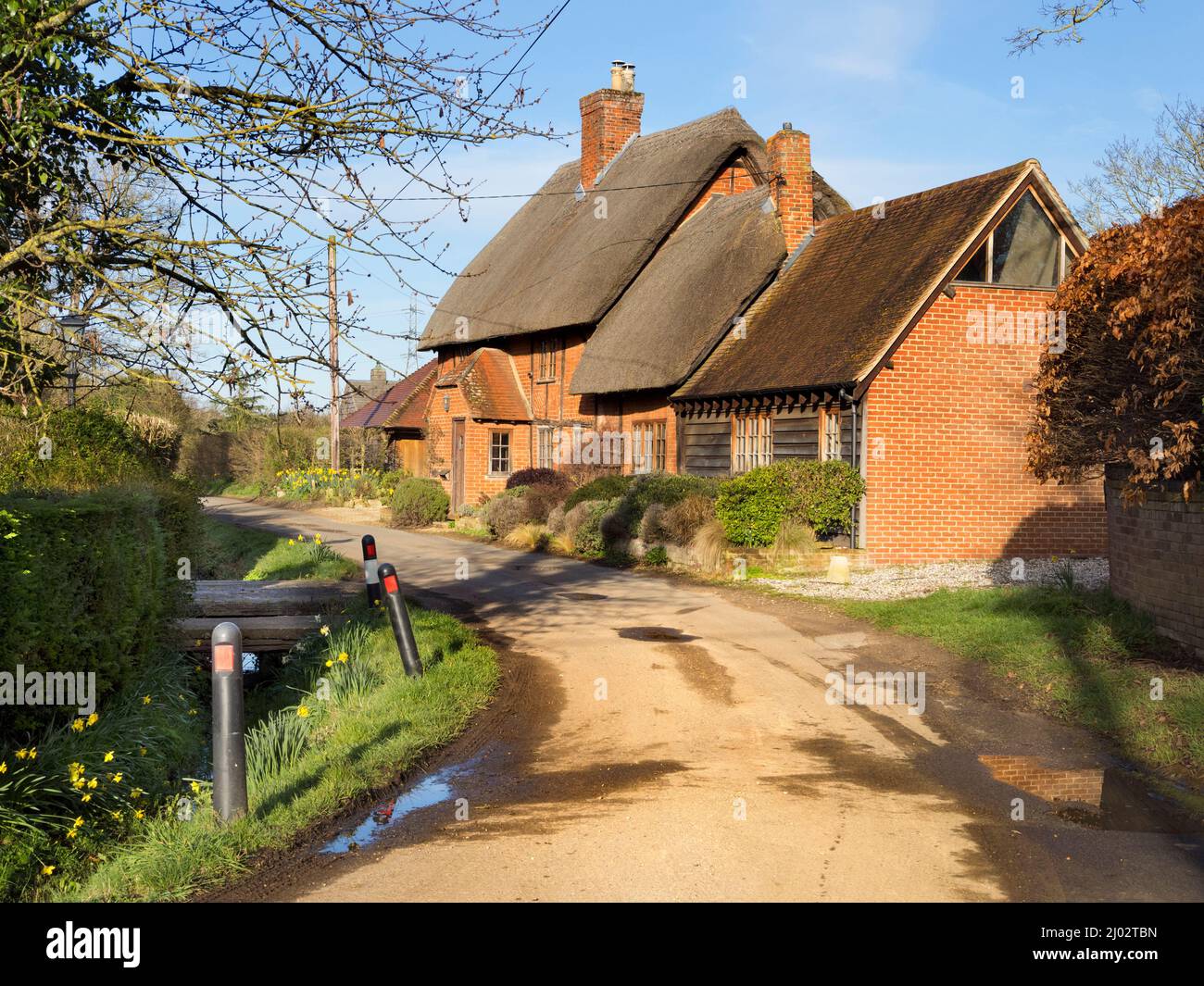 Une belle maison de chaume dans Lower Radley Village, un beau printemps matin 2 Banque D'Images