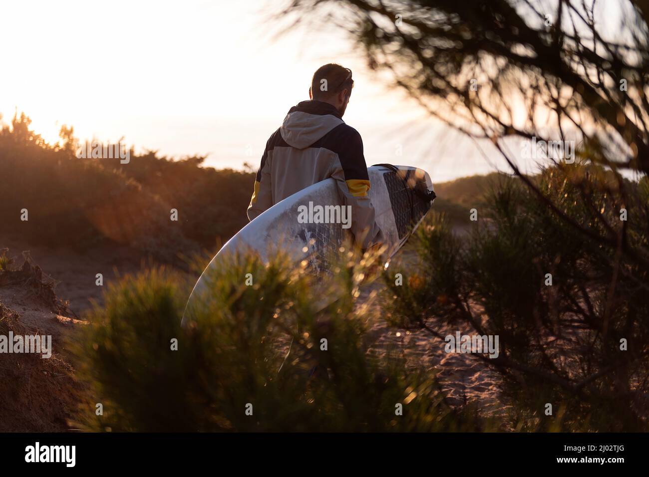 vue arrière d'un jeune homme méconnaissable en veste marchant au coucher du soleil par les dunes de la plage avec sa planche de surf sous son bras, loisirs et loisirs c Banque D'Images
