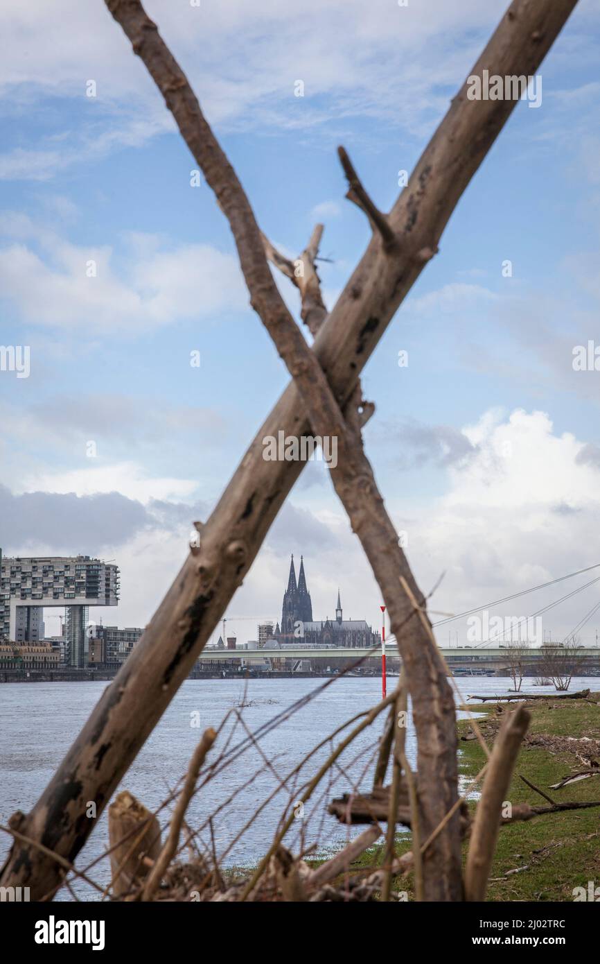 Une cabane construite à partir de flatsam dans les prés du Rhin à Poll, vue sur les grues du port de Rheinau et la cathédrale, Cologne, Allemagne. Eine aus T Banque D'Images