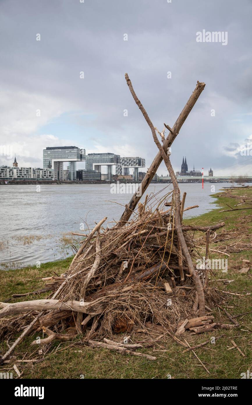 Une cabane construite à partir de flatsam dans les prés du Rhin à Poll, vue sur les grues du port de Rheinau et la cathédrale, Cologne, Allemagne. Eine aus T Banque D'Images