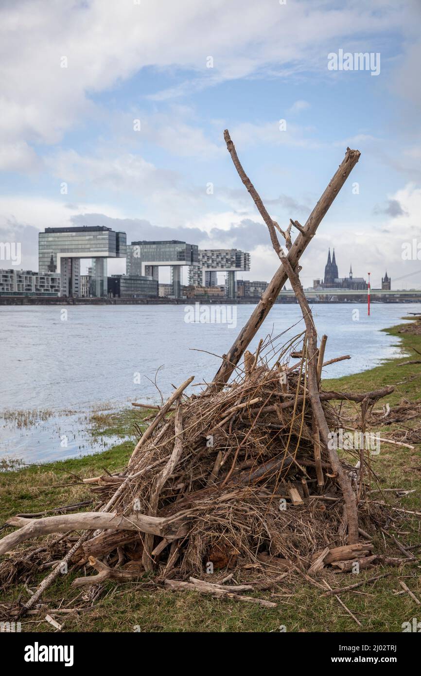 Une cabane construite à partir de flatsam dans les prés du Rhin à Poll, vue sur les grues du port de Rheinau et la cathédrale, Cologne, Allemagne. Eine aus T Banque D'Images