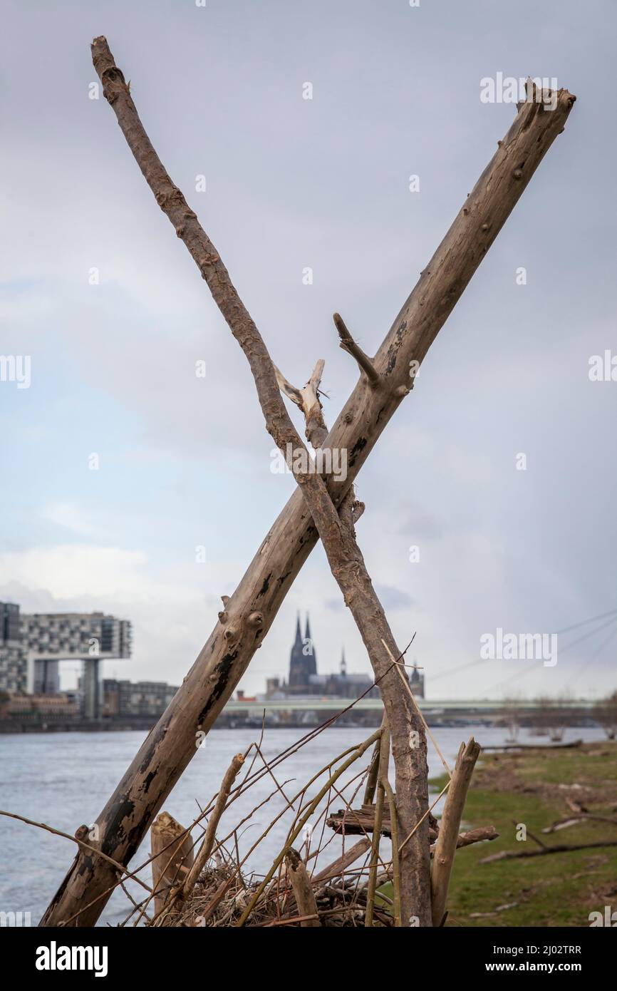 Une cabane construite à partir de flatsam dans les prés du Rhin à Poll, vue sur les grues du port de Rheinau et la cathédrale, Cologne, Allemagne. Eine aus T Banque D'Images