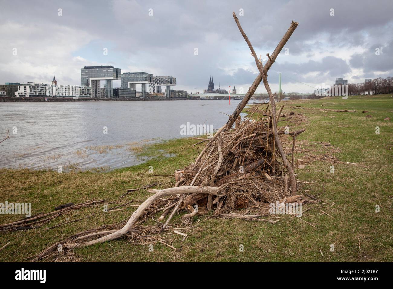 Une cabane construite à partir de flatsam dans les prés du Rhin à Poll, vue sur les grues du port de Rheinau et la cathédrale, Cologne, Allemagne. Eine aus T Banque D'Images