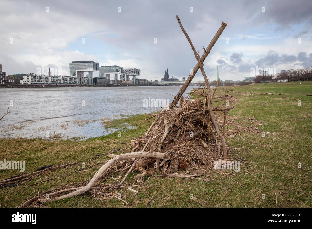 Une cabane construite à partir de flatsam dans les prés du Rhin à Poll, vue sur les grues du port de Rheinau et la cathédrale, Cologne, Allemagne. Eine aus T Banque D'Images