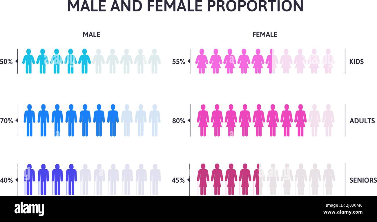 Infographie sur les groupes de population hommes et femmes. Pourcentage d'hommes et de femmes personnes isolées illustration de vecteur. Des hommes avec une silhouette d'âge différente Illustration de Vecteur