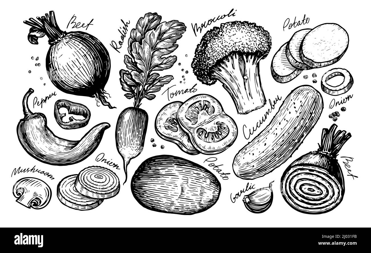 Ensemble de légumes dessinés à la main. Illustration vectorielle pour le marché des légumes. Esquisse vintage Illustration de Vecteur