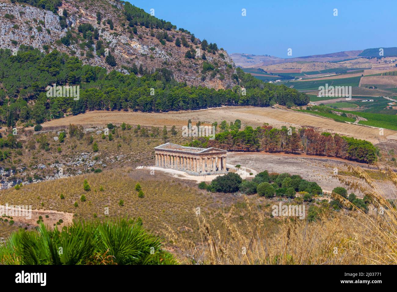 Zone archéologique de Segesta, Calatafimi, Trapani, Sicile, Italie, Europe Banque D'Images