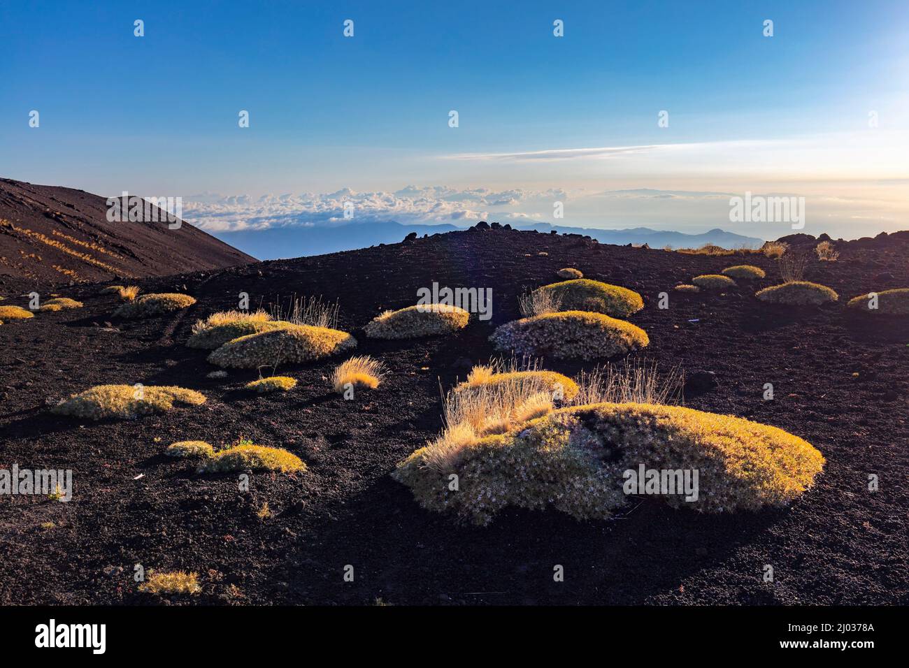 Piano Provenzana, Etna du Nord, Catane, Sicile, Italie, Europe Banque D'Images