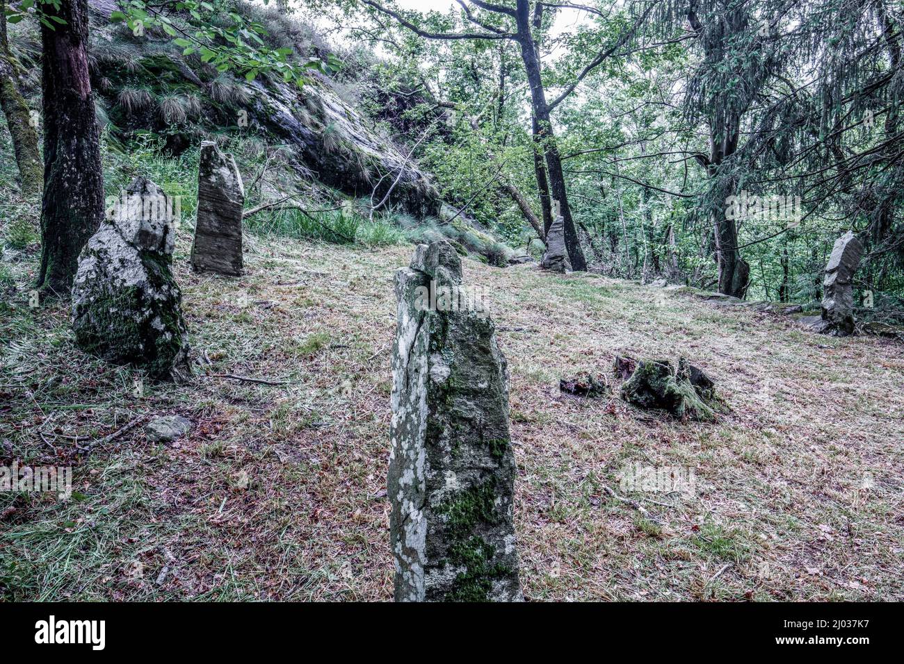 Trouvailles mégalithiques dans le hameau de Castelluccio, Montecrestese, Val d'Ossola, V.C.O. (Verbano-Cusio-Ossola), Piémont, Italie, Europe Banque D'Images