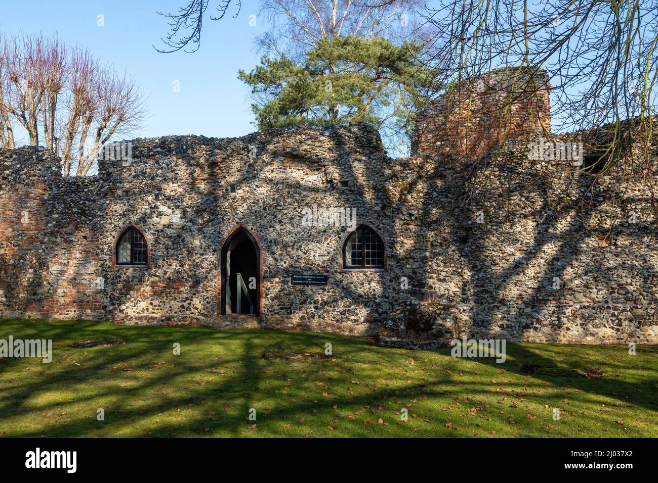 Ruines d'un petit prieuré Augustinien fondé en 1216, Prieuré de St Olaves, Norfolk, Angleterre, Royaume-Uni Banque D'Images