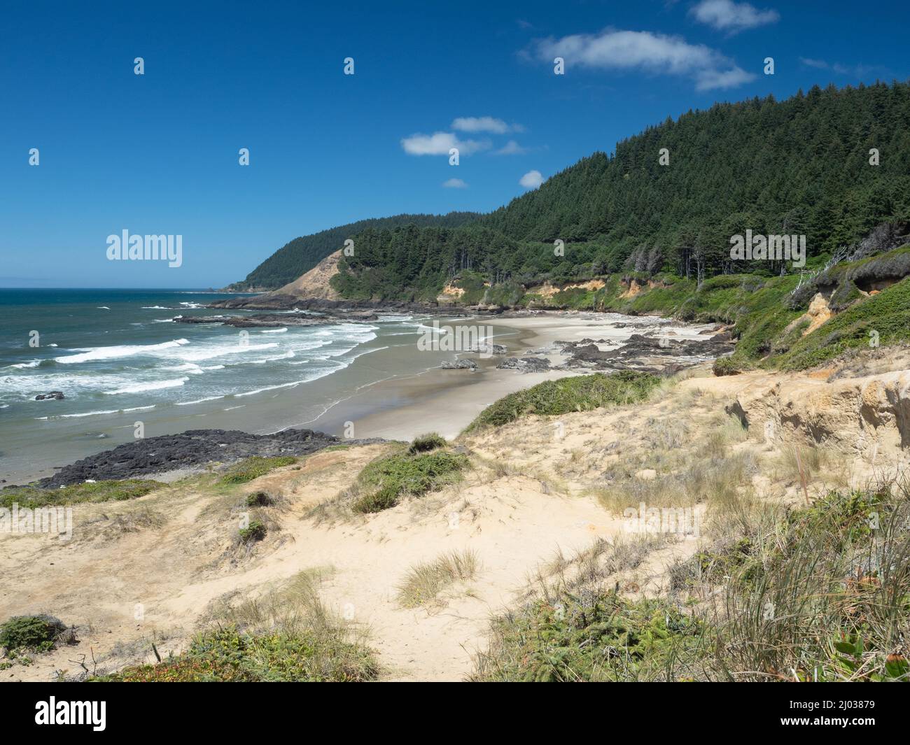 Vue depuis le Strawberry Hill Wayside sur la route 101, Oregon, États-Unis d'Amérique, Amérique du Nord Banque D'Images