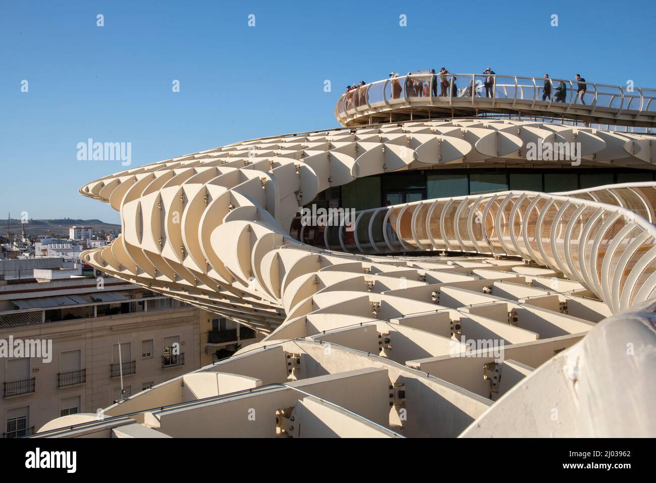 Le Metropol parasol (Las Setas de Sevilla) à Séville, Andalousie, Espagne, Europe Banque D'Images