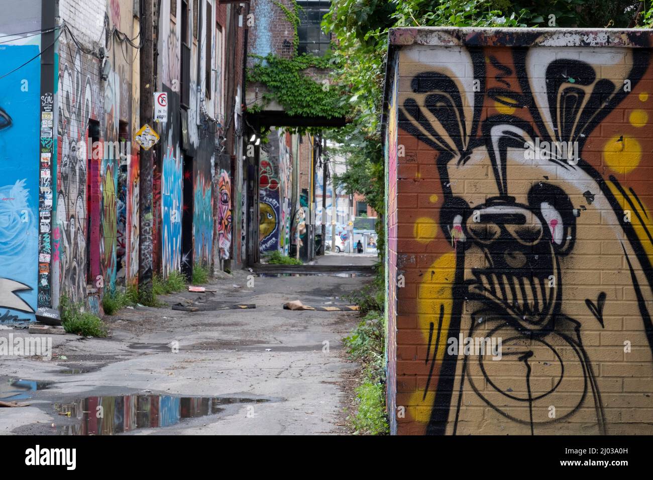 L'infâme Graffiti Alley de Toronto dans le quartier de la mode, Toronto, Ontario, Canada, Amérique du Nord Banque D'Images