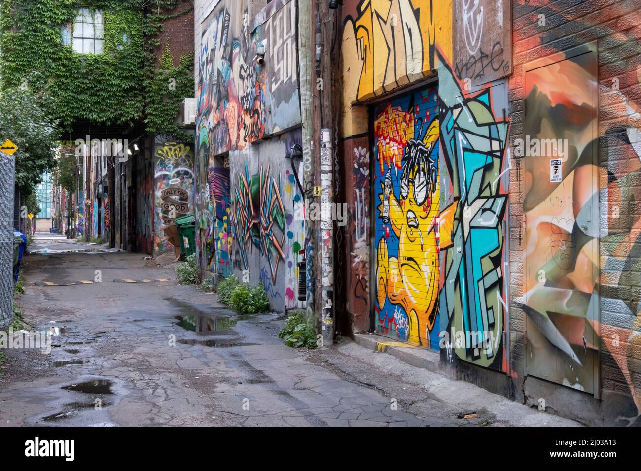 L'infâme Graffiti Alley de Toronto dans le quartier de la mode, Toronto, Ontario, Canada, Amérique du Nord Banque D'Images
