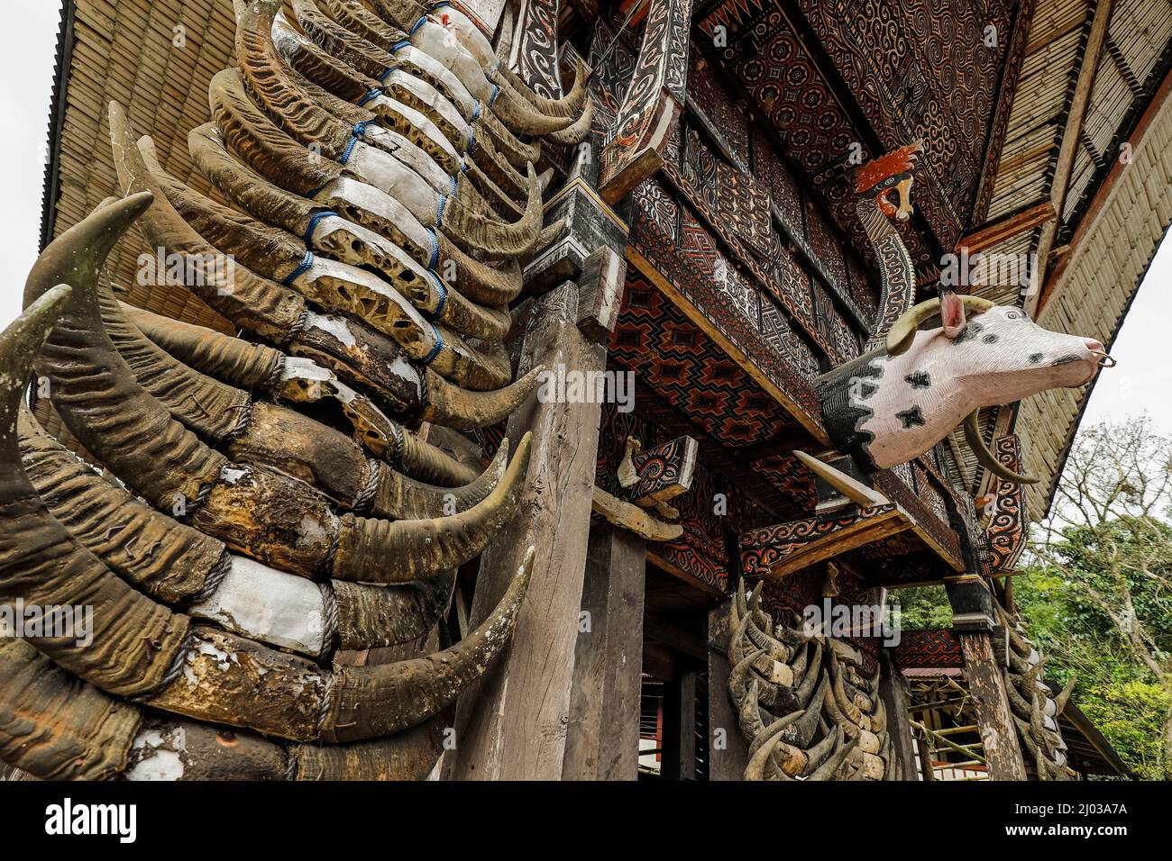 Tête sculptée et cornes de buffle sacrifié, maison familiale traditionnelle tongkonan, la'bo, Rantepao, Toraja, Sulawesi du Sud, Indonésie Banque D'Images