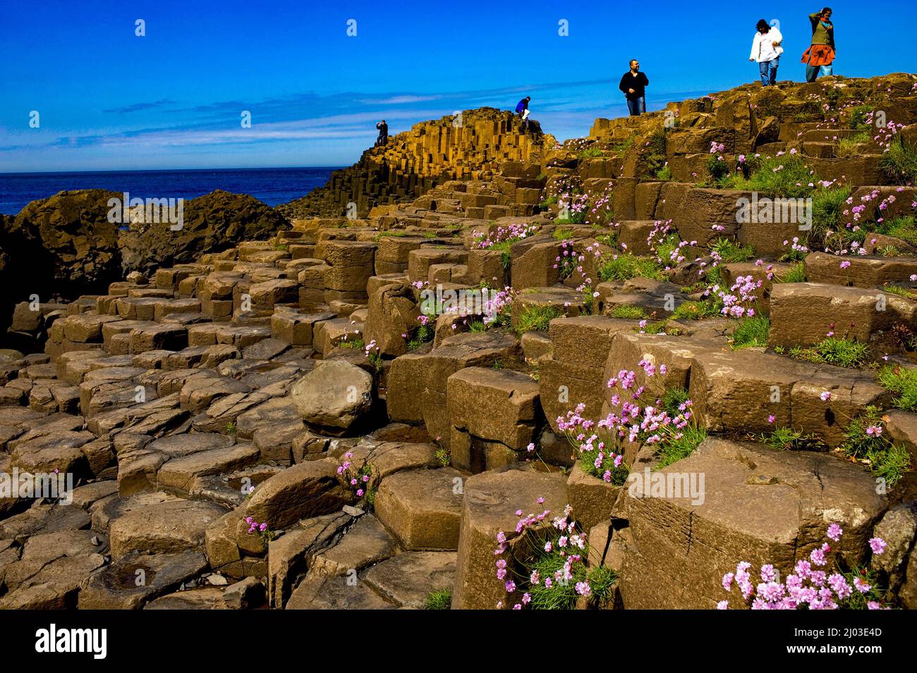 Le site du patrimoine mondial de l'UNESCO, Giants Causeway, North Coast, County Antrim, Irlande du Nord Banque D'Images