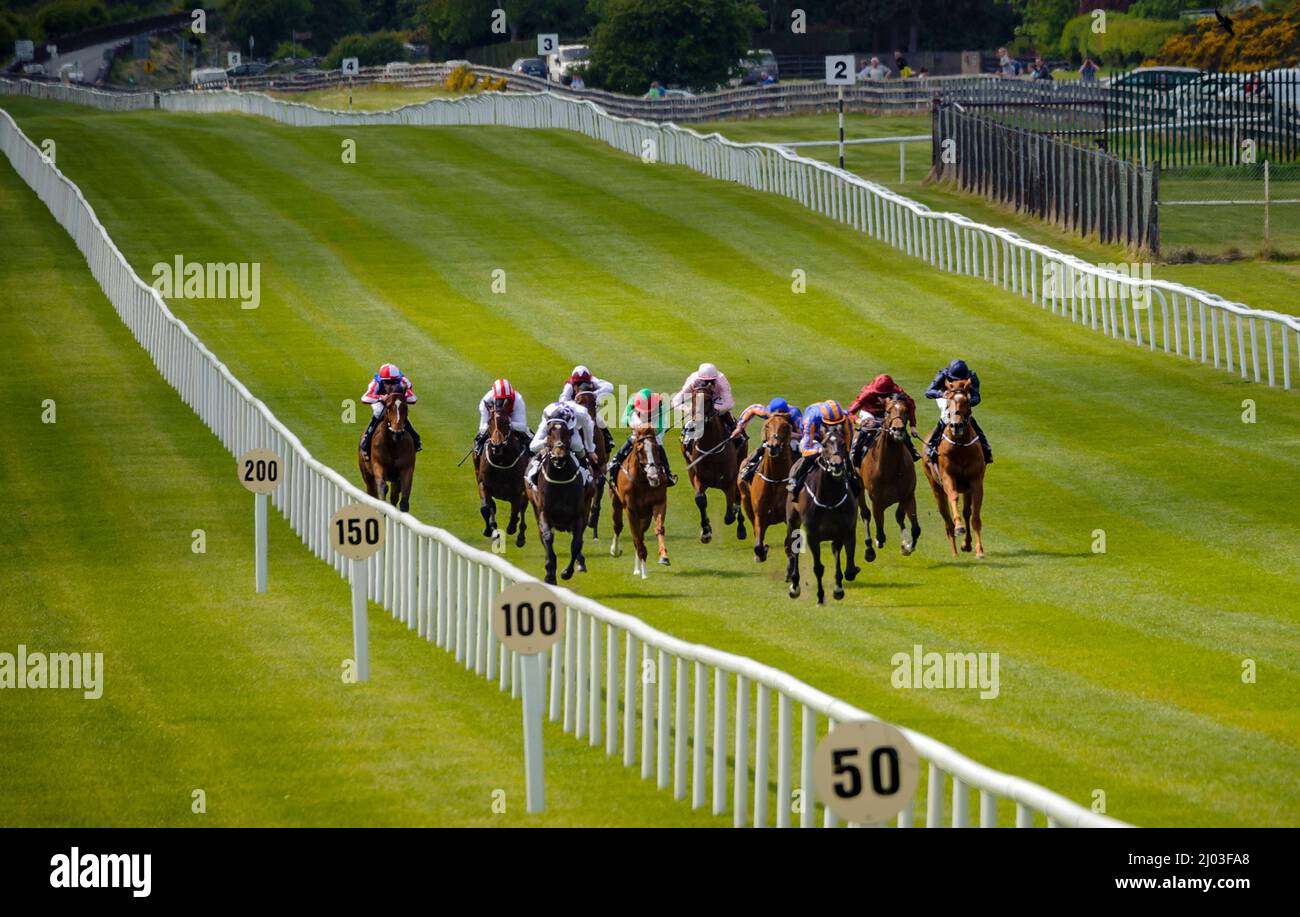 Journée de course à Curragh, comté de Kildare, Irlande Banque D'Images