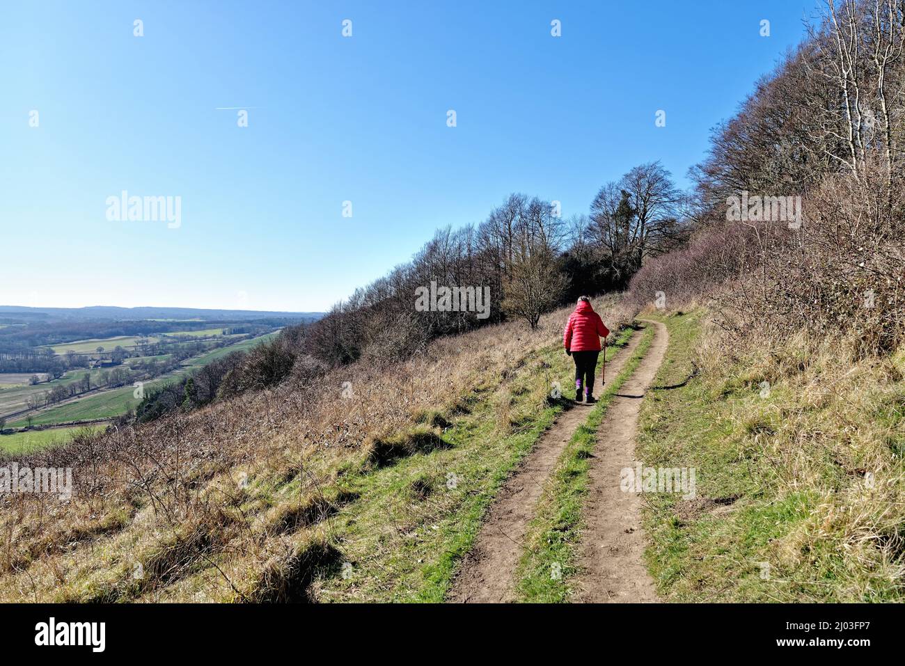 Une femme mûre qui marche dans une veste rouge sur North Downs Way lors d'une journée hivernale ensoleillée à Ranmore Common Dorking Surrey, Angleterre, Royaume-Uni Banque D'Images