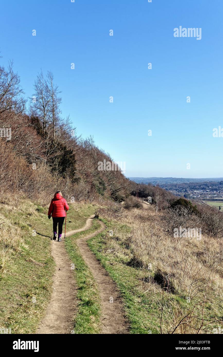 Une femme mûre qui marche dans une veste rouge sur North Downs Way lors d'une journée hivernale ensoleillée à Ranmore Common Dorking Surrey, Angleterre, Royaume-Uni Banque D'Images
