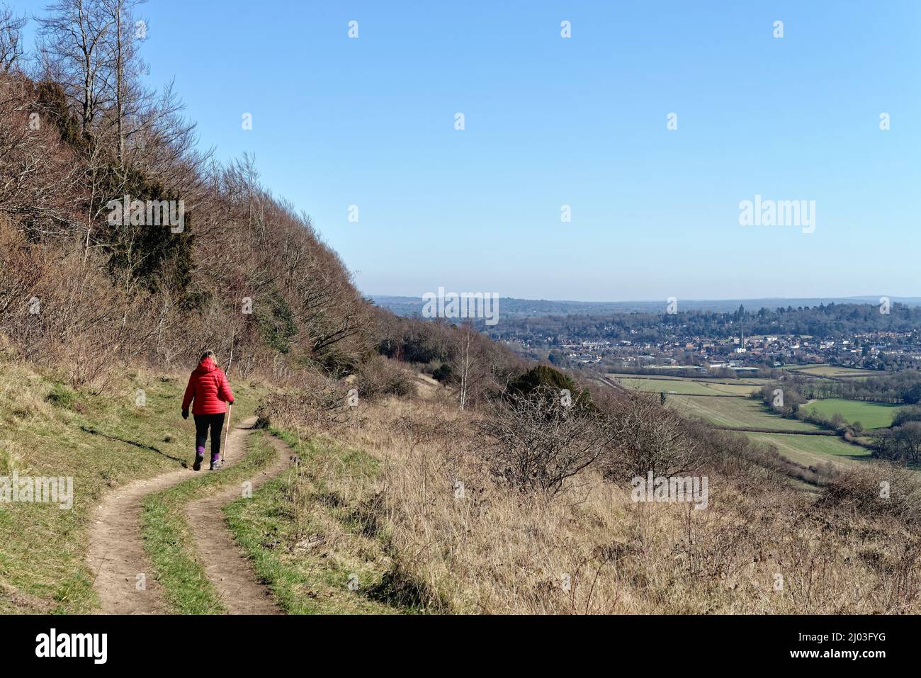 Une femme mûre qui marche dans une veste rouge sur North Downs Way lors d'une journée hivernale ensoleillée à Ranmore Common Dorking Surrey, Angleterre, Royaume-Uni Banque D'Images