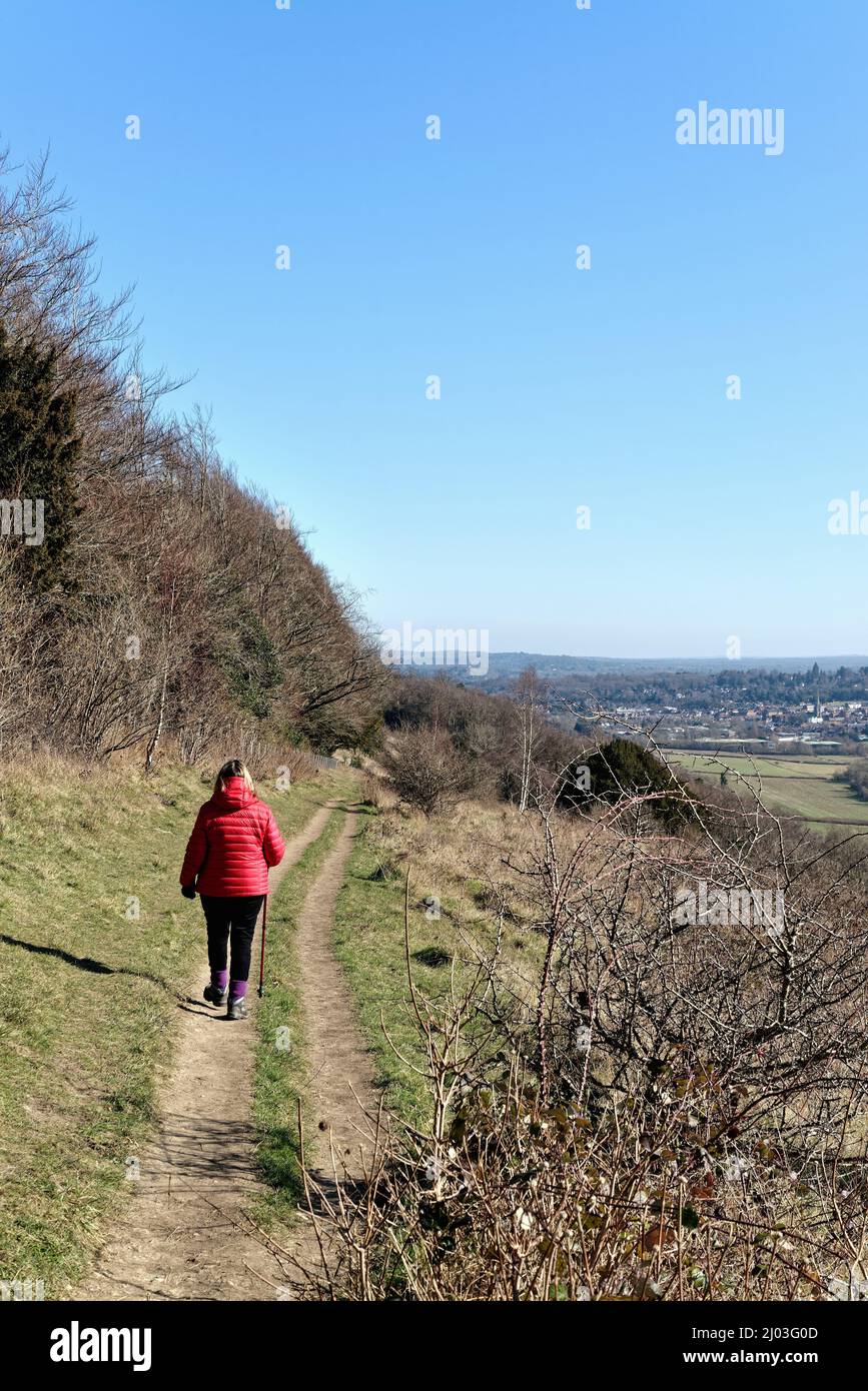Une femme mûre qui marche dans une veste rouge sur North Downs Way lors d'une journée hivernale ensoleillée à Ranmore Common Dorking Surrey, Angleterre, Royaume-Uni Banque D'Images