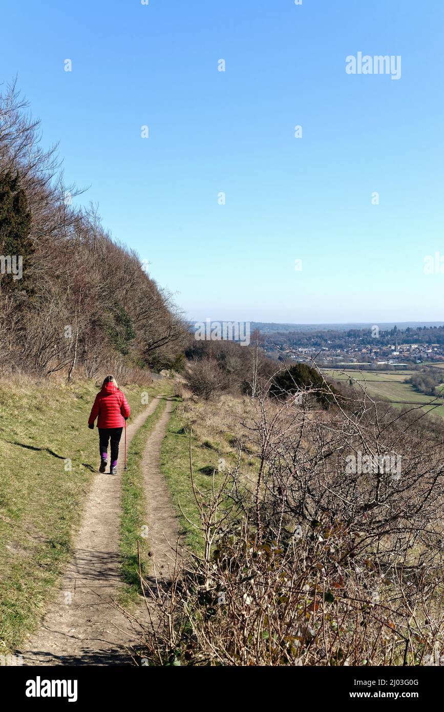 Une femme mûre qui marche dans une veste rouge sur North Downs Way lors d'une journée hivernale ensoleillée à Ranmore Common Dorking Surrey, Angleterre, Royaume-Uni Banque D'Images