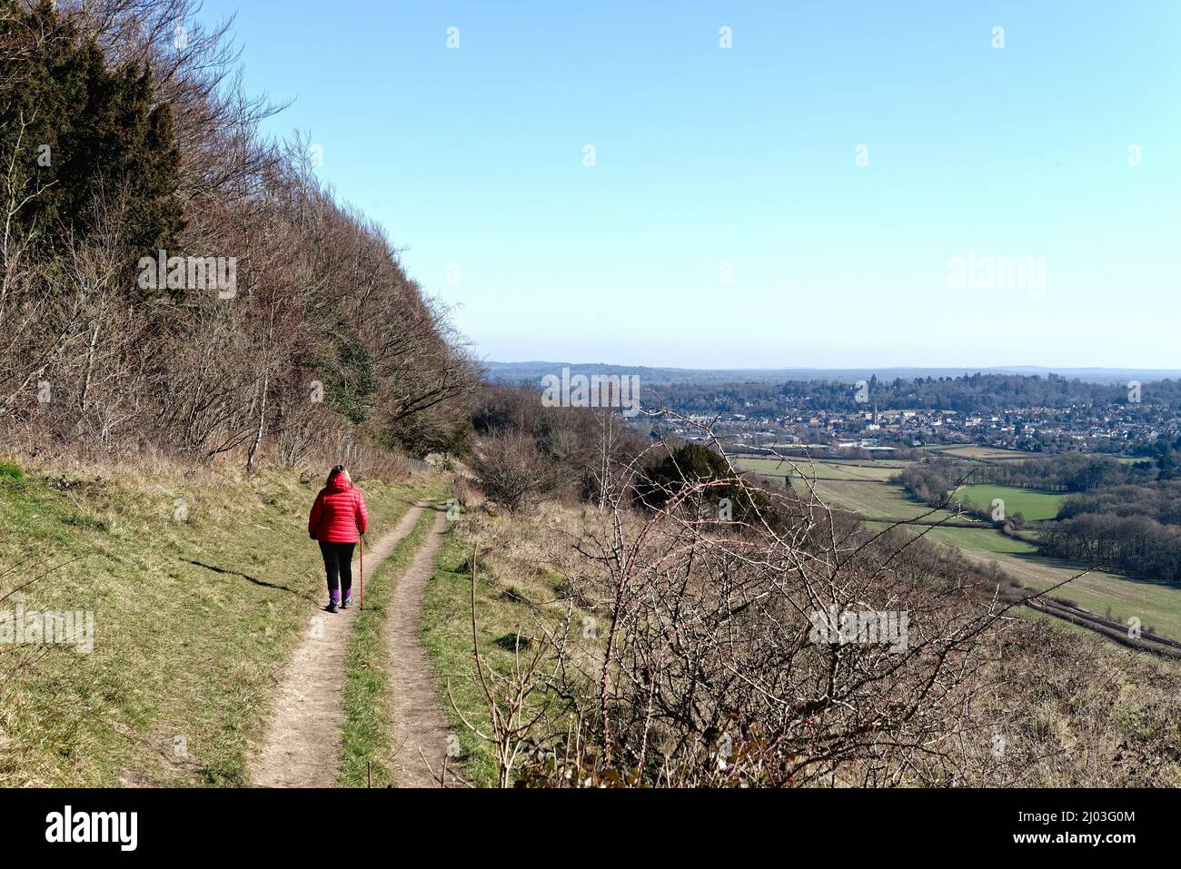 Une femme mûre qui marche dans une veste rouge sur North Downs Way lors d'une journée hivernale ensoleillée à Ranmore Common Dorking Surrey, Angleterre, Royaume-Uni Banque D'Images