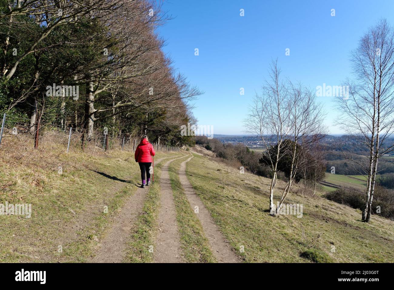 Une femme mûre qui marche dans une veste rouge sur North Downs Way lors d'une journée hivernale ensoleillée à Ranmore Common Dorking Surrey, Angleterre, Royaume-Uni Banque D'Images
