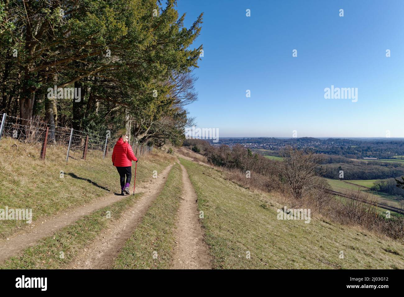 Une femme mûre qui marche dans une veste rouge sur North Downs Way lors d'une journée hivernale ensoleillée à Ranmore Common Dorking Surrey, Angleterre, Royaume-Uni Banque D'Images