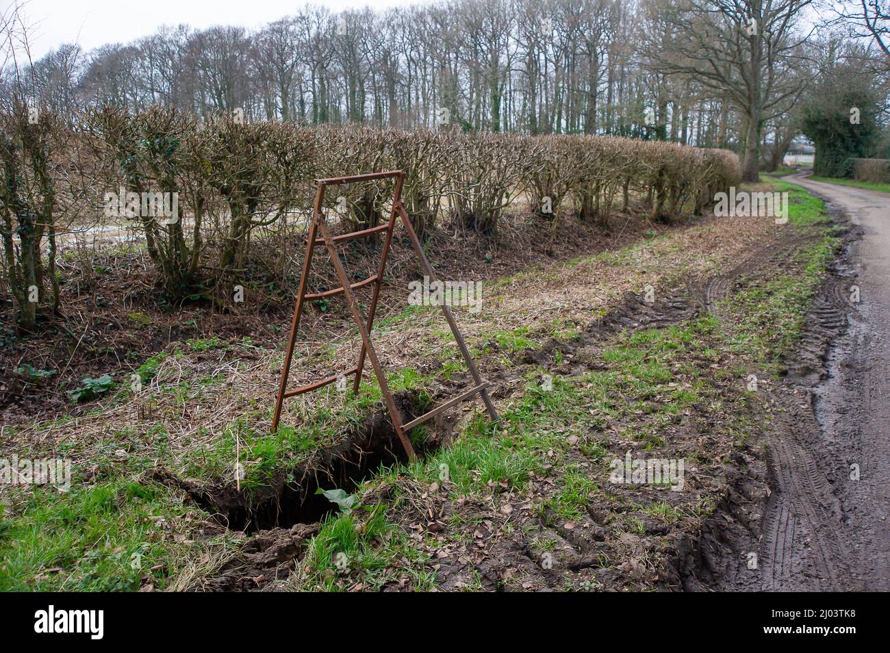 Wendover, Aylesbury, Royaume-Uni. 15th mars 2022. Un profond trou d'évier est apparu sur le bord de l'herbe de King's Lane à côté de l'endroit où HS2 accumulent les déblais de la route qu'ils construisent. Un agriculteur local a pris son tracteur coincé dans le trou de l'évier, mais heureusement il n'a pas été blessé. Crédit : Maureen McLean/Alay Banque D'Images