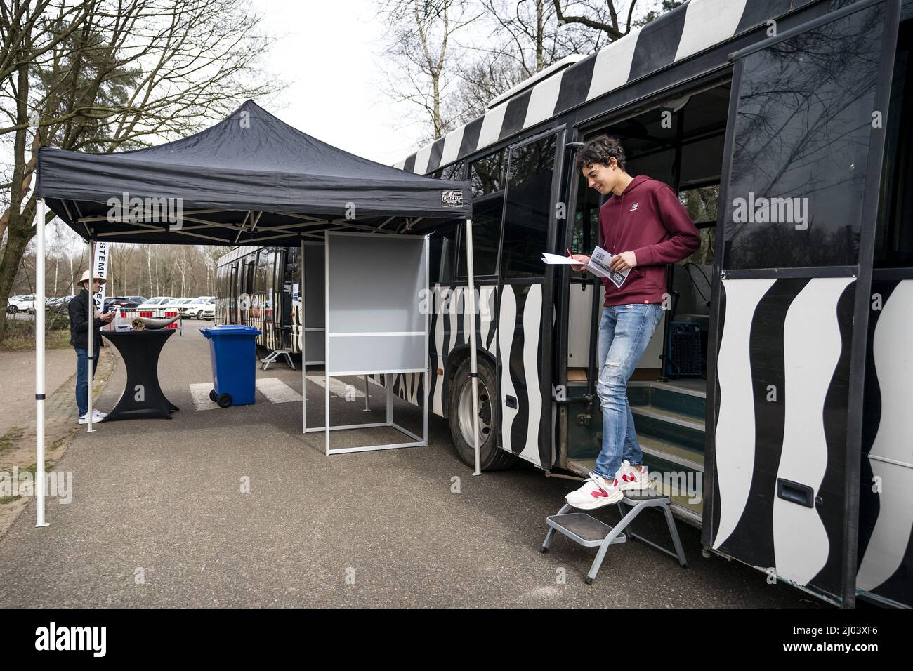 HILVARENBEEK - Stemmen in een safaribus bij Safaripark Beekse Bergen. In ruil voor hun stempas kregen stemmers een gratis toegangskaart en een uitrijkaart. ANP ROB ENGELAR Banque D'Images