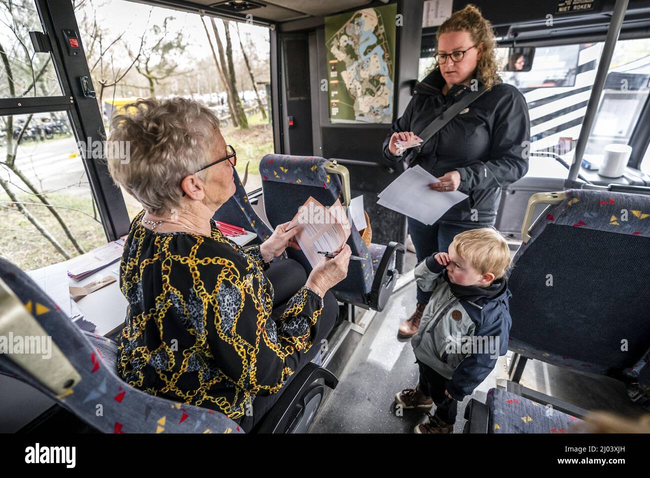 HILVARENBEEK - Stemmen in een safaribus bij Safaripark Beekse Bergen. In ruil voor hun stempas kregen stemmers een gratis toegangskaart en een uitrijkaart. ANP ROB ENGELAR Banque D'Images